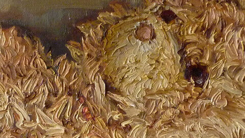 "Auf's Auge gedrückt - Teddy" Bild von Mathias. Weis.