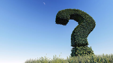 Aus Blättern geformtes Fragezeichen auf einer Wiese vor blauem Himmel.