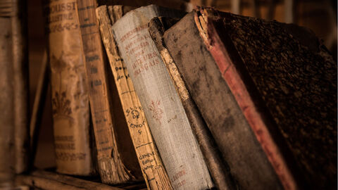 Mehrere alte Bücher stehen nebeneinander.