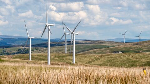 Ein Kornfeld mit vier Windrädern im Hintergrund