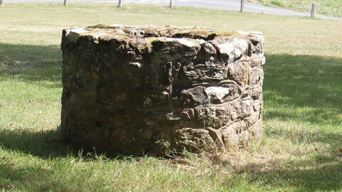 Brunnen auf einer Wiese neben Bäumen.