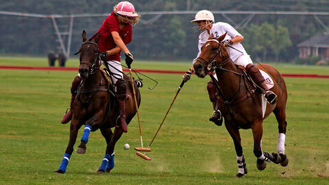 Polo (Symbolbild) Zwei Reiterinnen auf ihren Pferden spielen Polo.